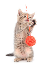 Wall Mural - Little kitten playing with a ball of yarn.