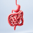 The digestive system on a blue background. The concept of vital organs in the human body, anatomy. 3d rendering