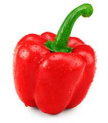 Wall Mural - one red sweet bell pepper isolated on white background. clipping path