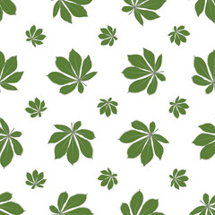 Wall Mural - Seamless pattern of vector chestnut leaf outline. Simple outline chestnut leaves pattern for fabric and background. Realistic hand drawn leaves illustration on white background.