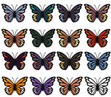 Fototapeta Motyle - Butterfly. Butterfly set. Stickers set Icons, banners