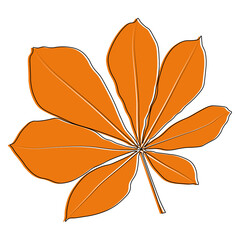 Wall Mural - Set of vector chestnut leaf outline and coloured icon. Simple chestnut leaves illustration for logo. Realistic hand drawn leaves illustration set on white background.