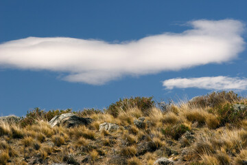 Canvas Print - Landscape at El Calafate, Patagonia, Argentina