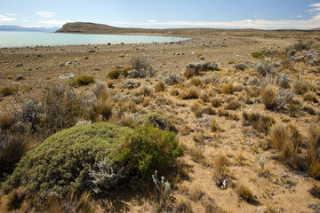 Canvas Print - Landscape at El Calafate, Patagonia, Argentina