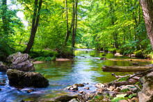 Floodplain Forest Is A Bottomland, Deciduous Or Deciduous-conifer Forest Community Occupying Low-lying Areas Adjacent To Streams And Rivers Of Third Order Or Greater. Nature Background.