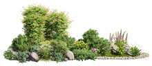 Cutout Flowerbed. Plants And Flowers Isolated On White Background. Flower Bed For Garden Design. Rock Landscaping Among The Flowering Bush.