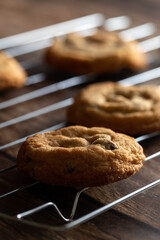 Wall Mural - Chocolate Chip Cookies