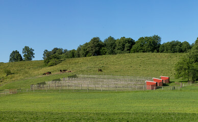 Wall Mural - Horse corrals on a green hillside in the farmland of Holmes County, Ohio