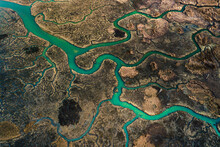 Aerial Photo Of A River Delta Winding Its Way Through Wetlands In The Puget Sound, Washington, USA