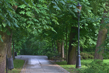 Wall Mural - an alley in the park with chestnut trees, a lighthouse and a dustbin.