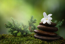 Zen Stone And Tuberose Flowers On Nature Background.