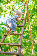 Wall Mural - A brave child is not afraid of heights. Striving upward, growth and development. A little girl climbs a wooden ladder