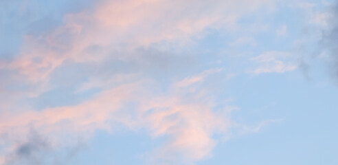 Wall Mural - Blue sky background with pale pink clouds at sunset