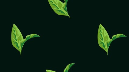 Wall Mural - tropical leafs with black background