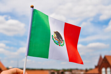 Wall Mural - national green white and red flag of Mexico with eagle close up