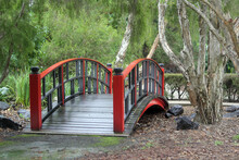 Red Wooden Bridge And A Tree In A Garden