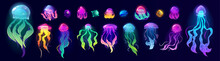 Jellyfish Underwater Animals, Colorful Jelly Fish Deep Ocean Creatures With Long Poisonous Tentacles Isolated Set. Tropical Medusa Aquatic Wildlife, Beautidul Sea Life, Cartoon Vector Illustration