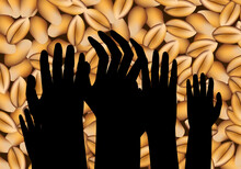 Silueta Negra De Manos Pidiendo Cereal De Trigo, Hambruna. Pobreza