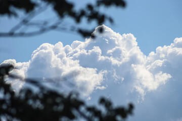 Black silhouettes of trees with foliage against the background of huge cumulus clouds in the blue sky, close up. Beautiful cloudscape