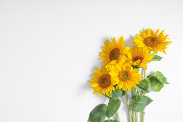 Wall Mural - beautiful sunflowers on white background. flat lay, top view, copy space