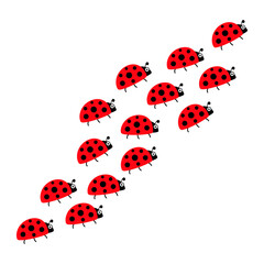 Poster - Ladybugs line group. Cute ladybirds trail set. Vector illustration isolated on white.