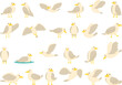 Seagull icons set cartoon vector. Seabird animal. Fly gull