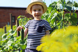 Fototapeta Tulipany - A boy with red hair holds a cucumber in the garden