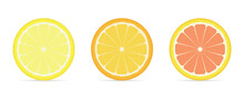 Round Slices Of Citrus Fruits. Lemon, Orange, Grapefruit. Vector Illustration.