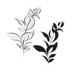 © Мария Алдаева - Vector icon of a branch. Botanical illustration in black color. Design element. Sketch for tattoos, greeting cards, blogs, posters. Design for printing on textiles, clothing.