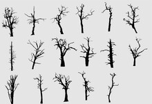 Set Of Trees