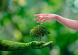 Environment earth day, Hands from nature holding young plant with sunlight and human hands protecting nature on green nature background, Forest conservation concept, Ecology and Nature concept.