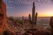 © Tom - Saguaro Cactus on Camelback Mountain with Phoenix Skyline