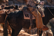 Cowboy On His Horse In The Grand Canyon
