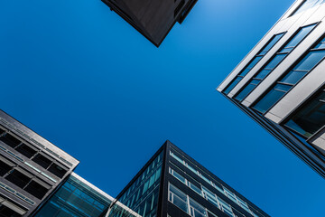 looking up tall and modern office buildings in concrete glass and steel.