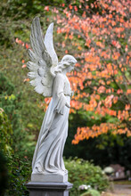 Angel Statue, Close Up Shot