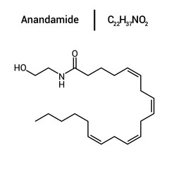 Wall Mural - chemical structure of Anandamide (C22H37NO2)