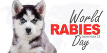 Siberian Husky Puppy With World Rabies Day Text