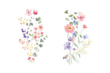 Watercolor Arrangements With Small Flower. Botanical Illustration Minimal Style.