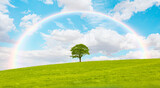 Fototapeta  - Beautiful landscape with green grass field and lone tree in the background amazing rainbow