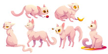 Cute White Cat Character In Different Poses. Vector Cartoon Illustration Of Funny Kitten Sitting Carpet, Walking, Scared Of Banana And Bee, Play With Yarn Ball And Grumpy