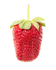 Wall Mural - Juicy red strawberry isolated on white