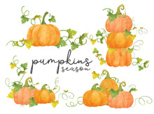 Watercolor Orange Pumpkin With Leaf And Vine Hand Drawn Painting Illustration Vector Banner