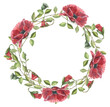 Delicate watercolor wreath with red poppy flowers, stems, buds, herbs and leaves for wedding invitations, greeting cards and business cards.