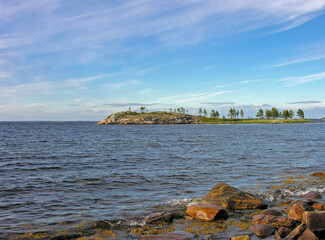 A small rocky island overgrown with rare pines.