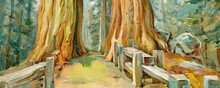 Sequoia National Park In The Southern Sierra Nevada. Banner From A Series Of USA National Parks. Hand-painted Panoramic Background.