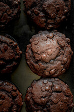 Chocolate Muffins With Chocolate Drops