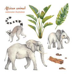 Watercolor African animals - elephant, baby elephant, lemur and tropical leaves isolated on a white background. Fauna and flora of the Savanna . Jungle decoration.