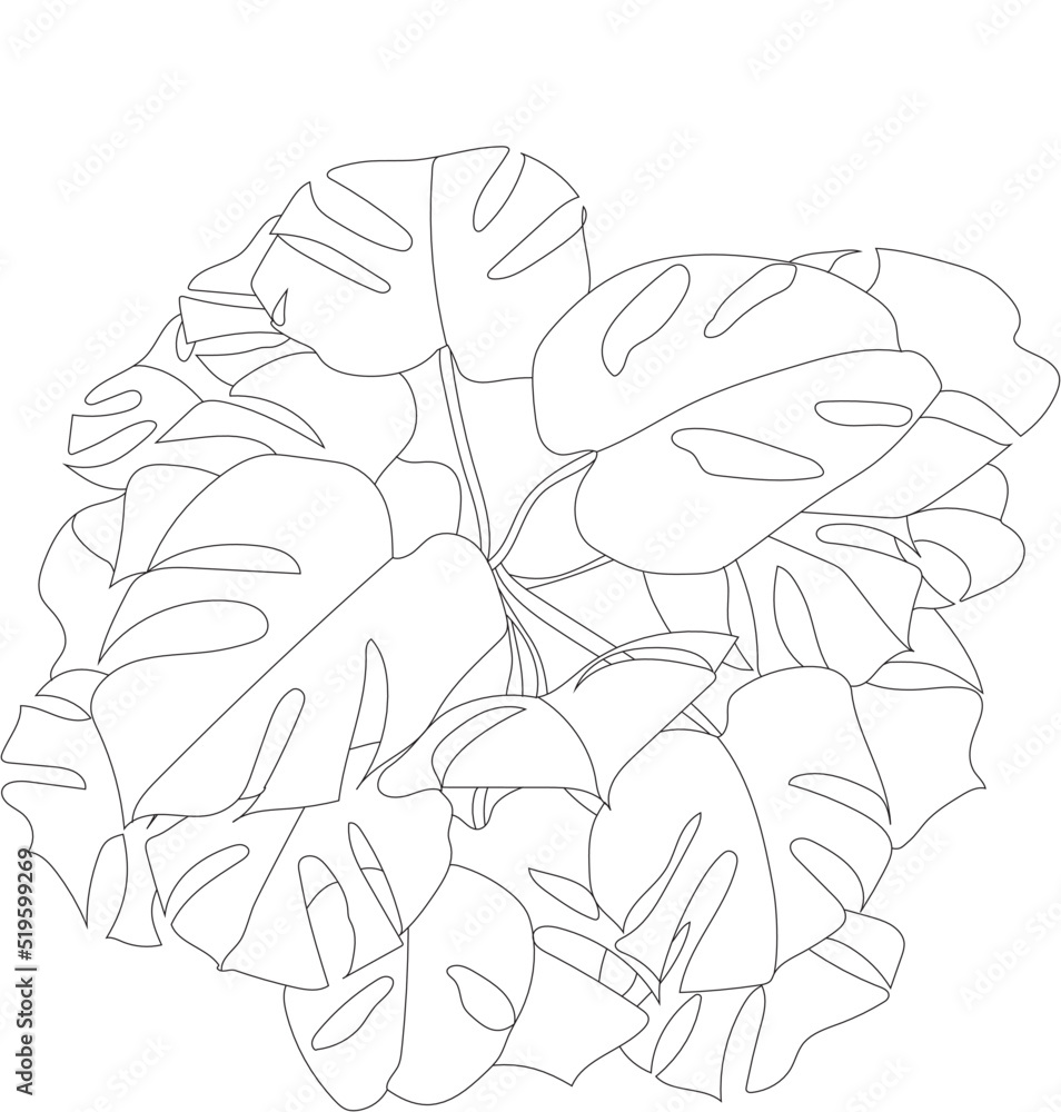 photinia fraseri pink marble hochstamm Photinia fraseri Pink Marble ('Cassini') - Metal Frame/Espalier
