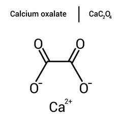 Canvas Print - chemical structure of Calcium oxalate (CaC2O4)