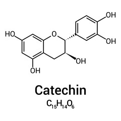 Wall Mural - chemical structure of Catechin (C15H14O6)